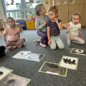 Dopasowujemy domy zwierząt 