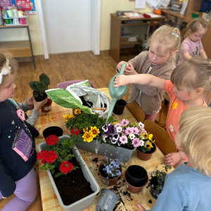 Wspólny wysiłek, piękne efekty – roślinki już posadzone i podlane!