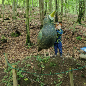 Chłopiec i gigantyczny szpak