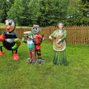 Chłopiec w Krainie Bajek