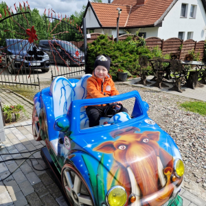Chłopiec w samochodzie