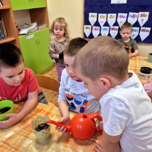 dziecko podlewa owies.