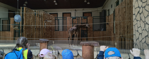 Biedronki w ZOO – niezapomniana przygoda z naturą!