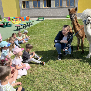 Dzieci słuchają ciekawostek o alpakach