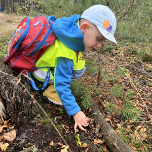 Jakub znalazł grzyby
