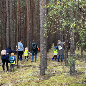 Dzieci z rodzicami zbierają grzyby
