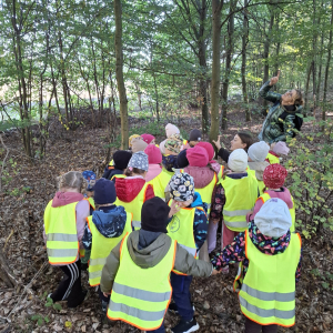 Spacer ścieżką w lesie