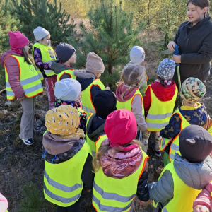 pani leśniczy mierzy drzewa