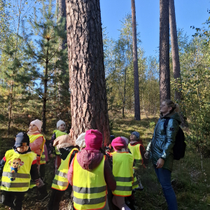 Dzieci sprawdzają czy sosna sięga do nieba