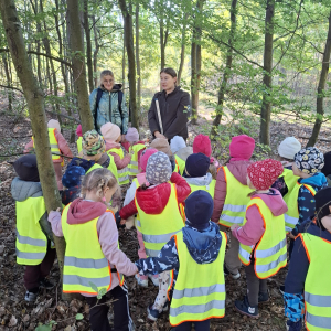 Pani leśniczy opowiada o drzewach