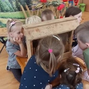 dzieci oglądające pszczoły