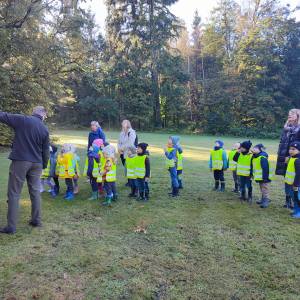 wycieczka do lasu