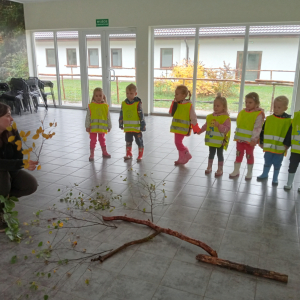 dzieci poznają budowę drzewa