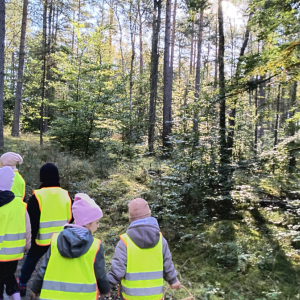 dzieci poznają rodzaje drzew