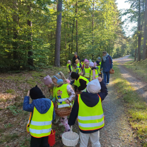 przyglądamy się roślinności leśnej
