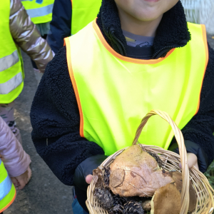 chłopiec z zebranymi grzybami
