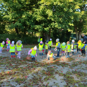 dzieci zbierają kolorowe liści