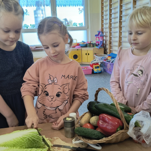 dziewczynka kroi kapustę