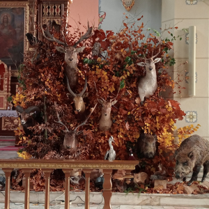 ołtarz Świętego Huberta