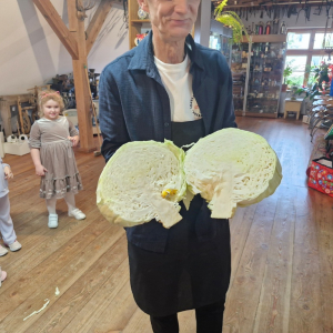 Pan Krzysztof  trzyma rozciętą kapustę, w której znajduje się  cukierek