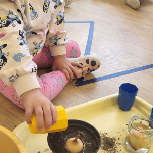 Dziewczynka podlewa cebulę.