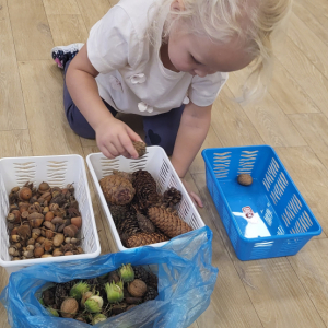 Dziewczynka podczas próby klasyfikowania elementów.