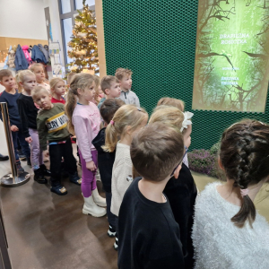 Dzieci poznają rosiczkę - roślinę zjadającą  owady