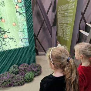 Dziewczynki w czasie zabawy na tablicy interaktywnej