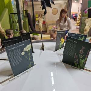 Dzieci poznają rośliny lecznicze