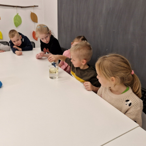 Chłopiec wkrapla barwnik 