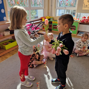 Chłopiec składa życzenia koleżance z grupy i wręcza tulipana z okazji Dnia Kobiet