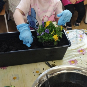 Dziewczynka sadzi kwiatki.