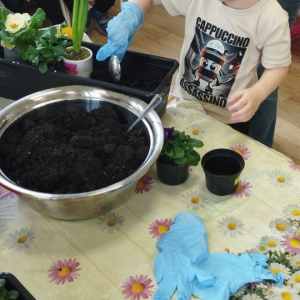 Chłopiec sadzi kwiatki.