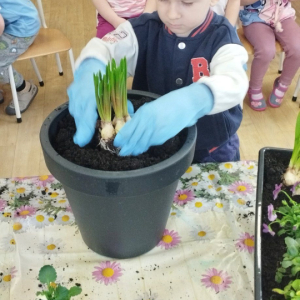 Chłopiec sadzi kwiatki.