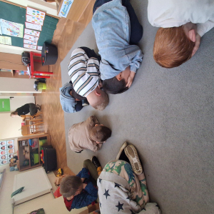 Dzieci szukają jajek