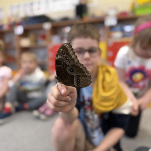 Odważni mogli potrzymać motyla na dłoni 