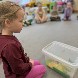 Dzieci z zainteresowaniem słuchają ciekawostek o motylach 