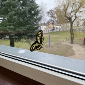 Delikatne skrzydła i wielkie zainteresowanie dzieci