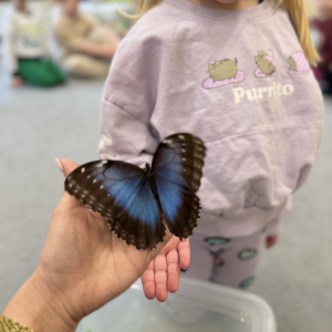 Delikatne skrzydła i wielkie zainteresowanie dzieci