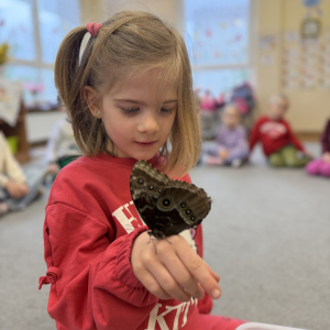 Odważni mogli potrzymać motyla na dłoni 