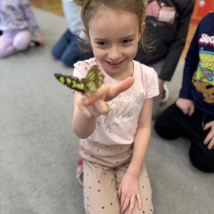 Odważni mogli potrzymać motyla na dłoni 