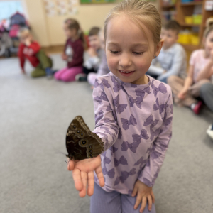 Odważni mogli potrzymać motyla na dłoni 