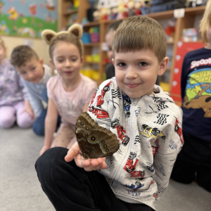 Odważni mogli potrzymać motyla na dłoni 