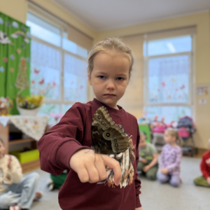 Odważni mogli potrzymać motyla na dłoni 