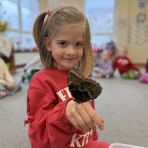 Odważni mogli potrzymać motyla na dłoni 