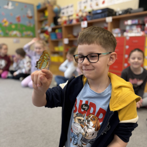 Odważni mogli potrzymać motyla na dłoni 